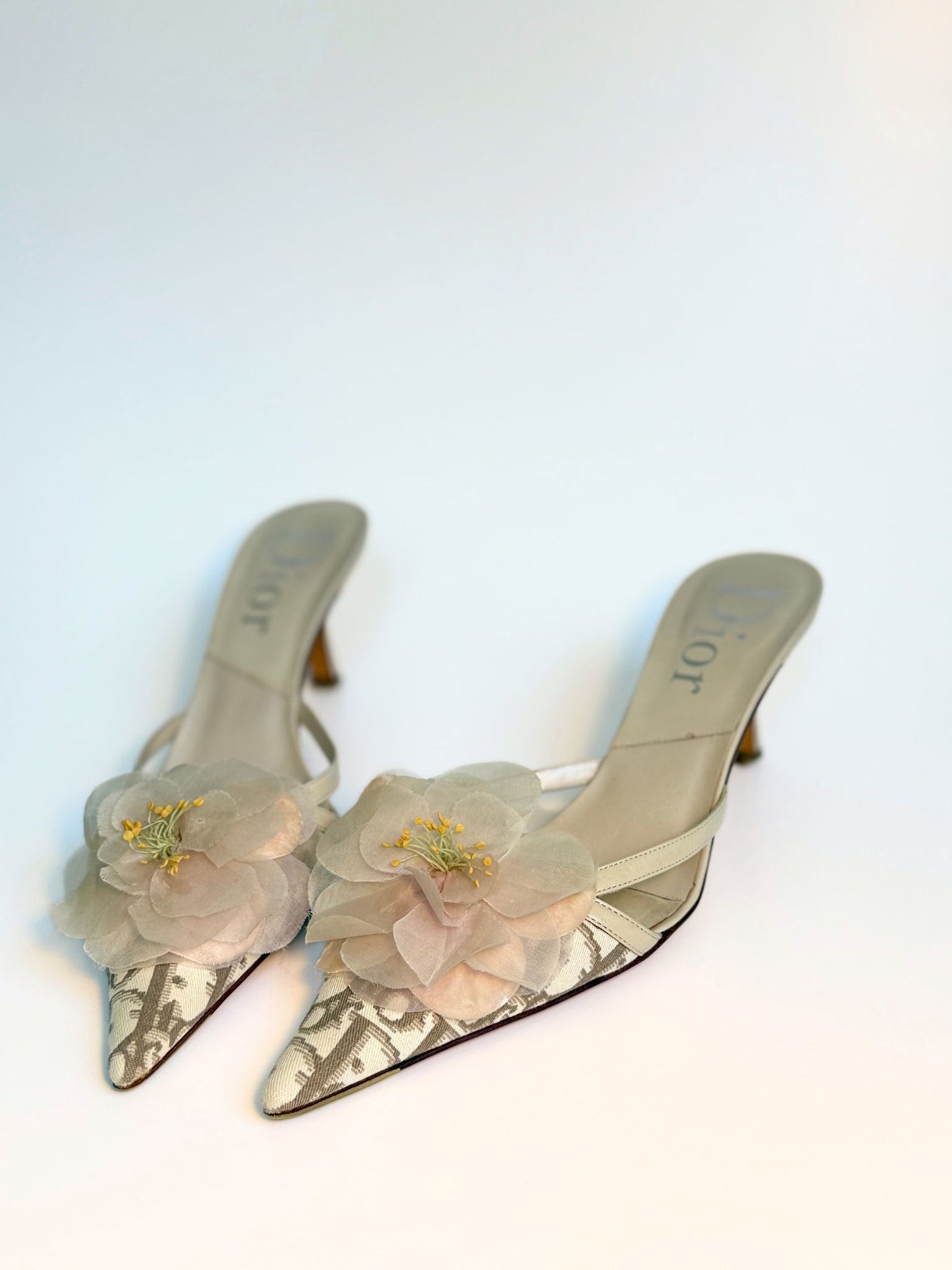 Vintage Dior Kitten Heels with Floral Appliqué – Dior Oblique & Leather
