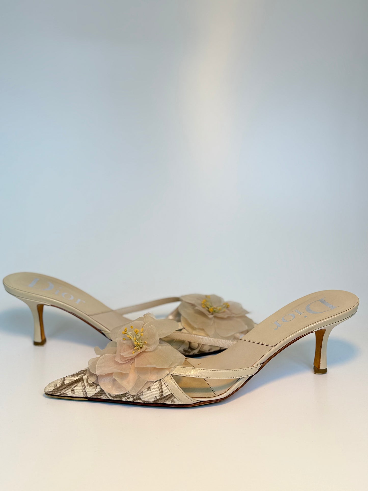 Vintage Dior Kitten Heels with Floral Appliqué – Dior Oblique & Leather