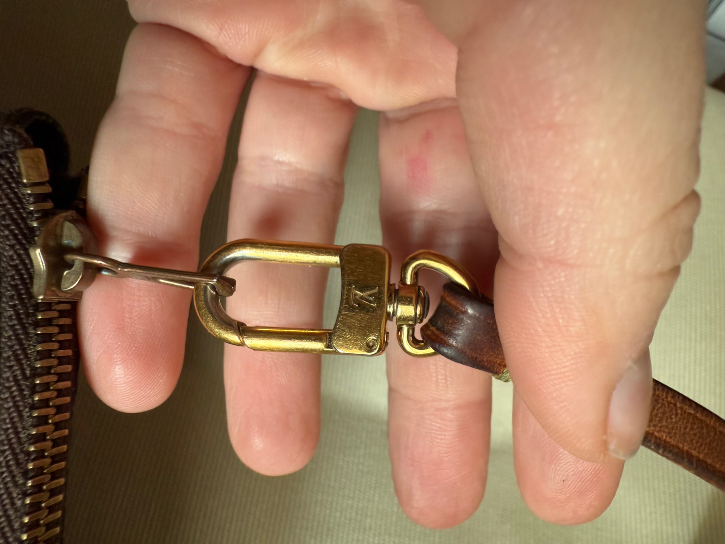 Louis Vuitton Pochette Accessoires